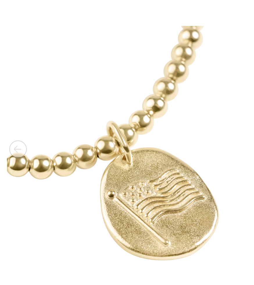 Enewton Classic Gold Bracelet - Inspire America Gold Disc