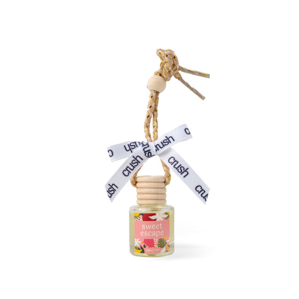 Hanging In There Diffusers
